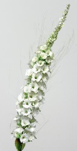 Кошачья лапка белая