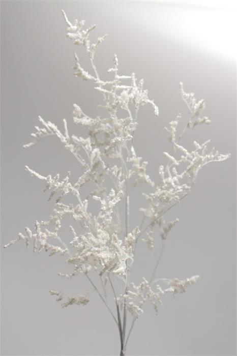 Ветка заснеженная