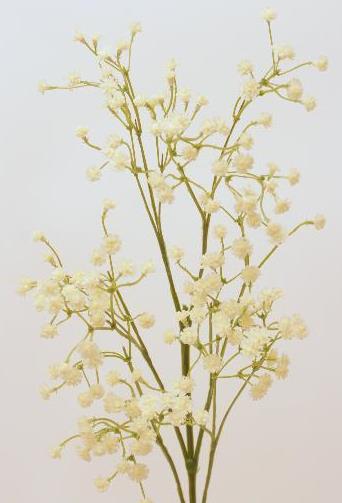 Гипсофила белая