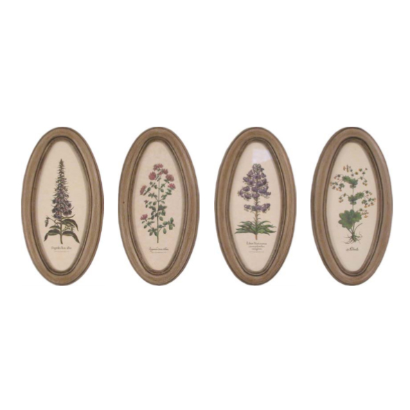 Картины "Ботаника"