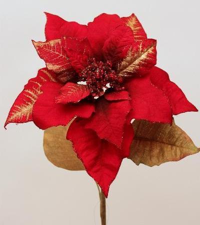 Пуансеттия красная