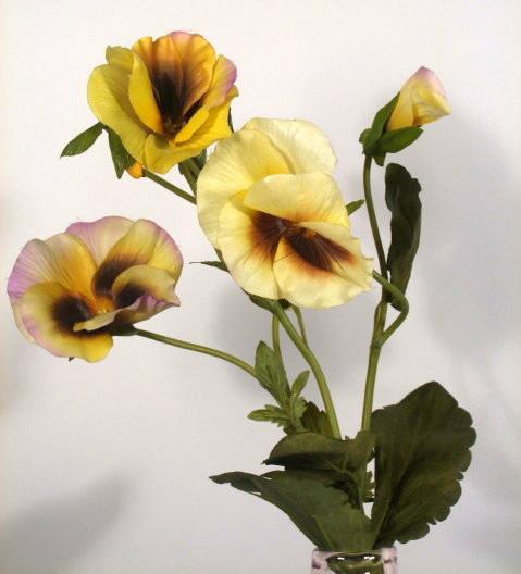 Анютины глазки желтые