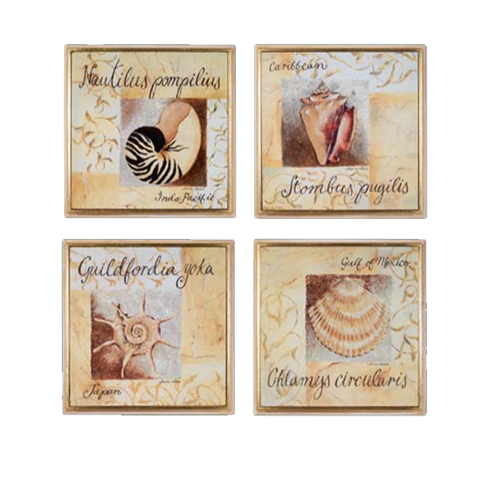 Картина "Ракушка"