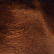 Темный орех