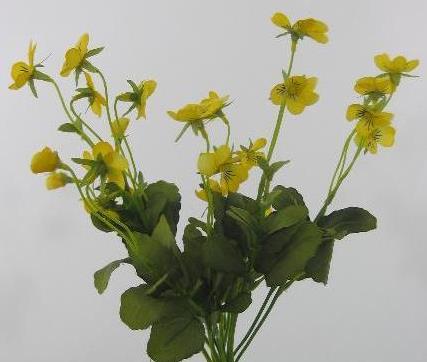 Анютины глазки желтые