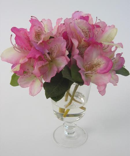 Рододендрон в вазе