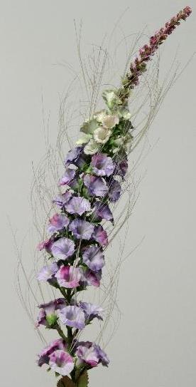 Кошачья лапка лавандовая