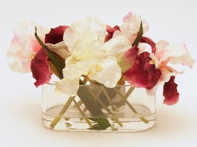 Ирис в вазе