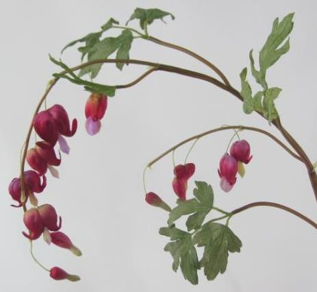 Разбитое сердце