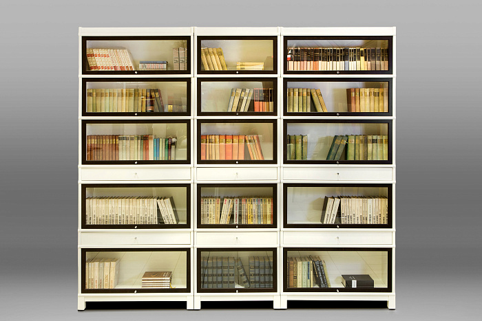 Книжный стеллаж двухцветный