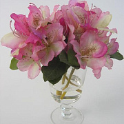 Рододендрон в вазе