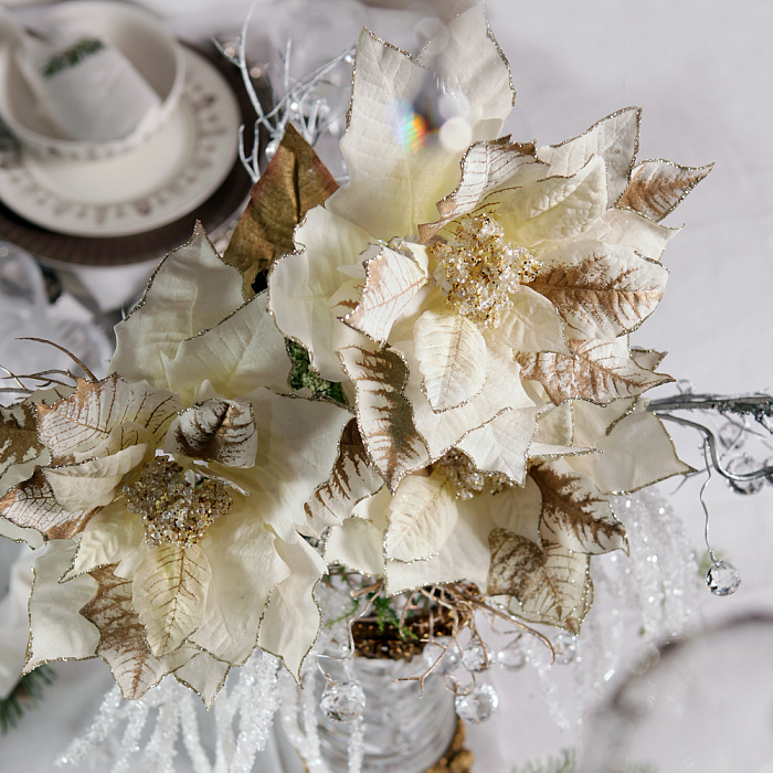 Пуансеттия кремовая