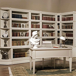 Библиотека в белой тонировке угловая