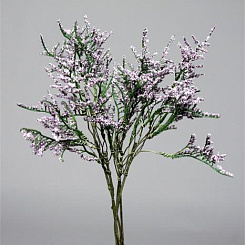 Каспия лавандовая