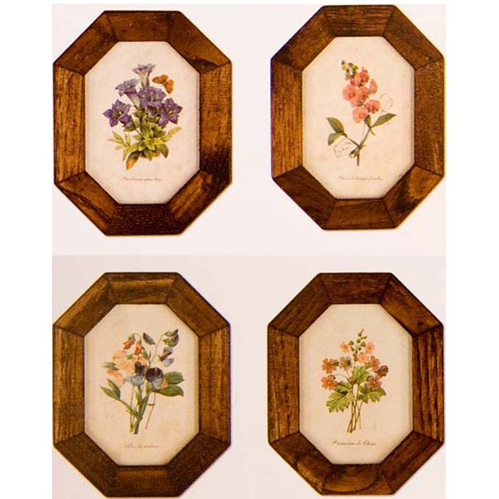 Картины "Ботаника"