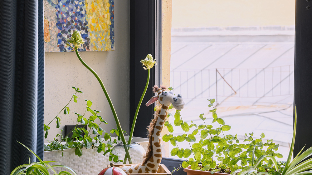 Частная квартира в Санкт-Петербурге на Моховой