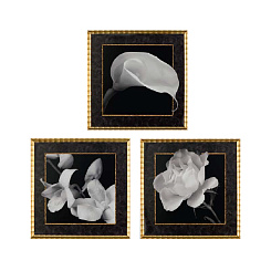 Картины "Черно-белая тайна"