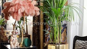 Интерьер для Гии Эрадзе