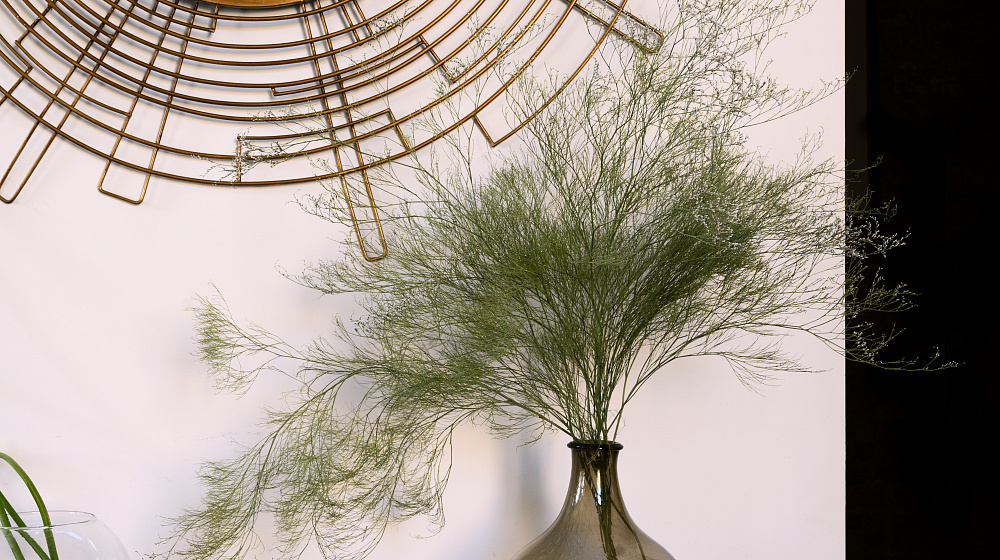 Частная квартира в Санкт-Петербурге на Моховой