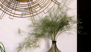 Частная квартира в Санкт-Петербурге на Моховой