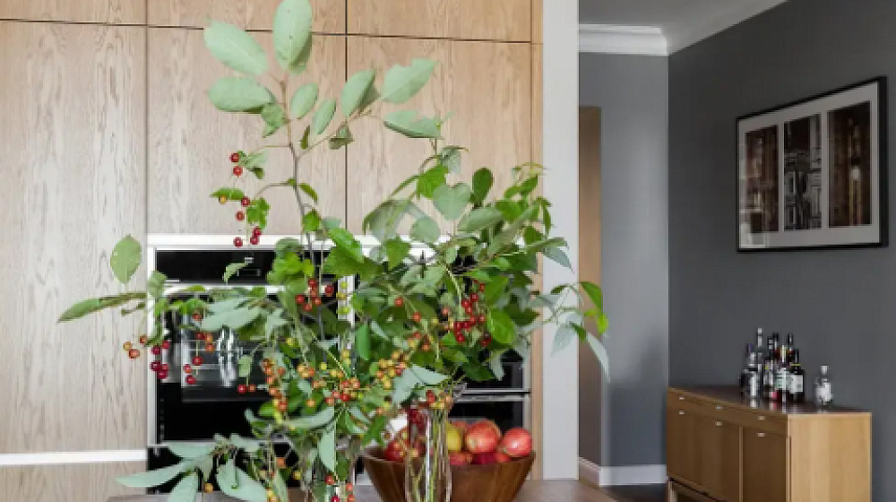 Скандинавская гармония в центре Петербурга