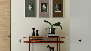 Квартира на Петроградке