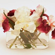 Ирис в вазе