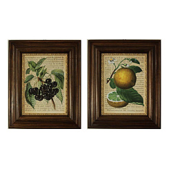 Картины "Фрукты"