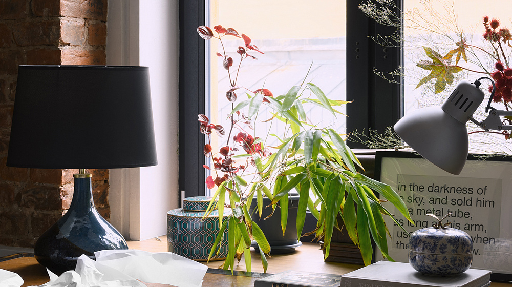 Частная квартира в Санкт-Петербурге на Моховой