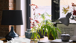 Частная квартира в Санкт-Петербурге на Моховой