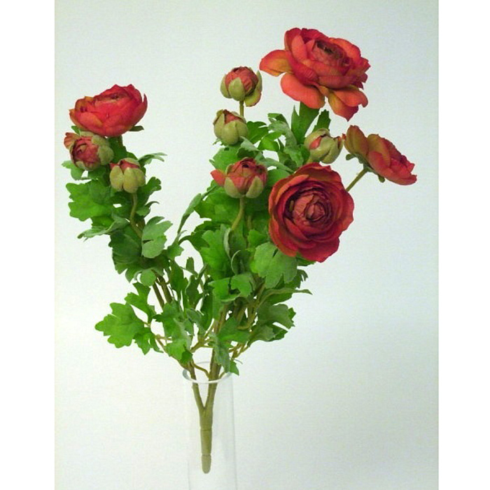 Лютик кустовой красный