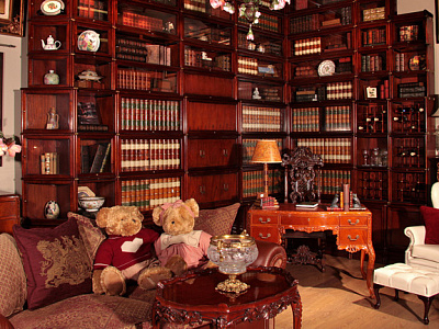 Библиотека Globe Wernicke