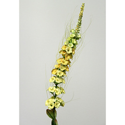 Кошачья лапка желтая