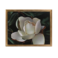 Картина "Магнолия"