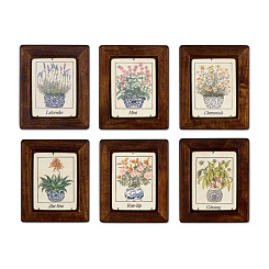 Картины "Травы"