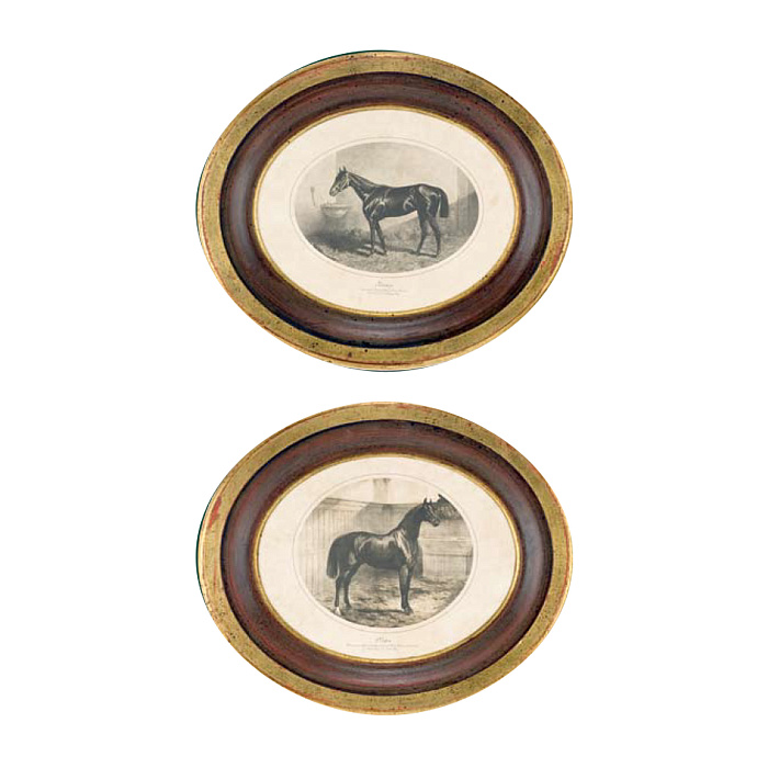 Картины "Лошади"