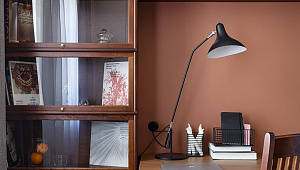 Современная классика в центре Петербурга