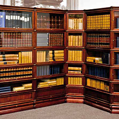 Фрагмент библиотеки в тонировке "махагон"