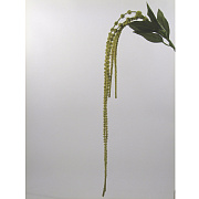 Вероника кремовая