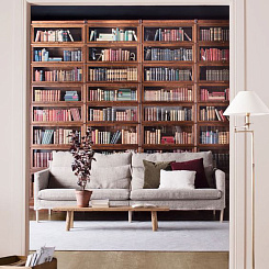 Фрагмент библиотеки со стеклянными дверцами