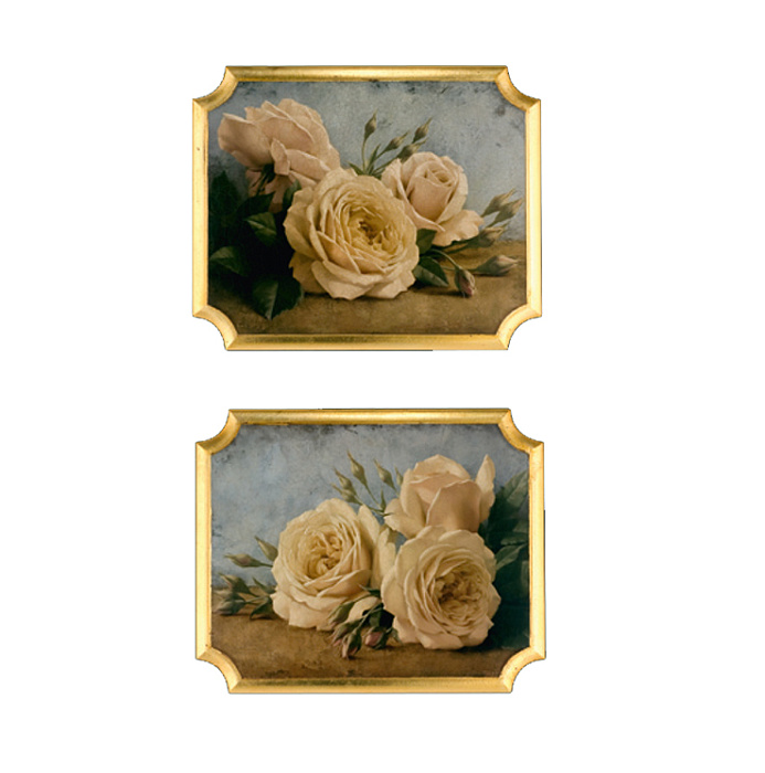 Картины "Белые розы"