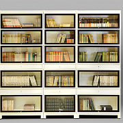 Книжный стеллаж двухцветный