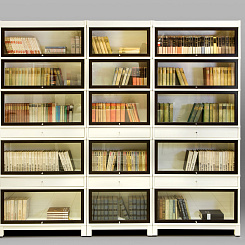 Книжный стеллаж двухцветный