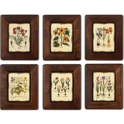 Картины "Ботаника"