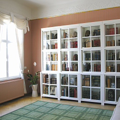 Книжный стеллаж-витрина для гостиной
