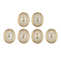 Картина "Ботанические мотивы" 