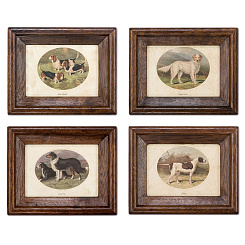 Картины "Собаки"