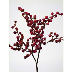 Ветка с красными ягодами