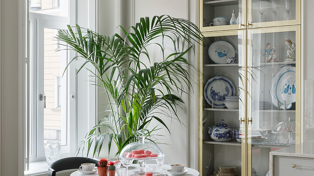 Типичный Питер