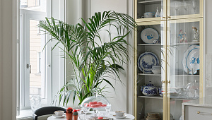 Типичный Питер